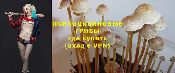 гидропоника Бородино