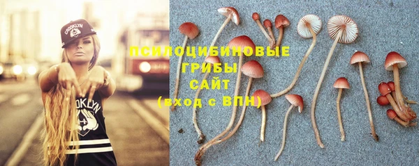 не бодяженный Волосово