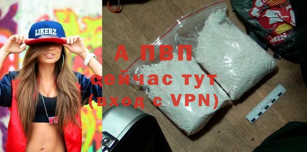 спиды Бронницы