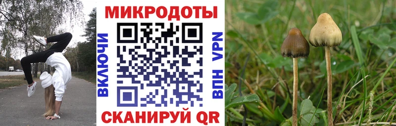 Галлюциногенные грибы Cubensis  Ишимбай 